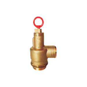 Brass Vacuum Relief Valve